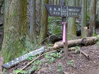 20240609tozan-futamata.jpg